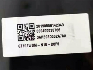 GT101WSM-N10